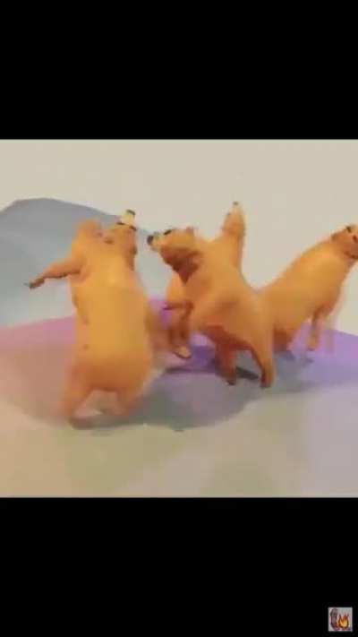 My brain when Jeff&rsquo;s explaining a challenge