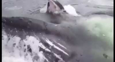 Wait for it&hellip;