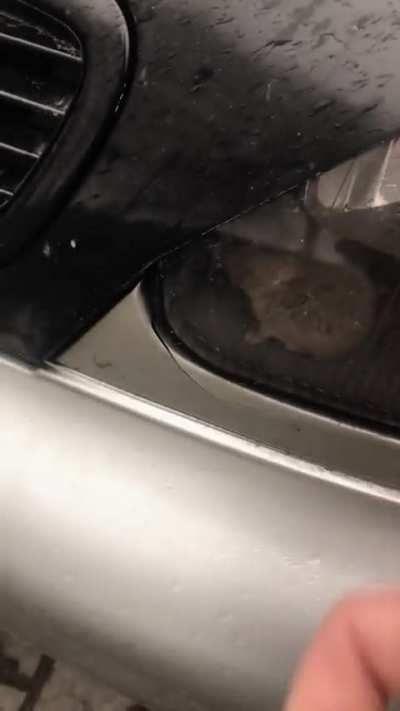 maybe maybe maybe