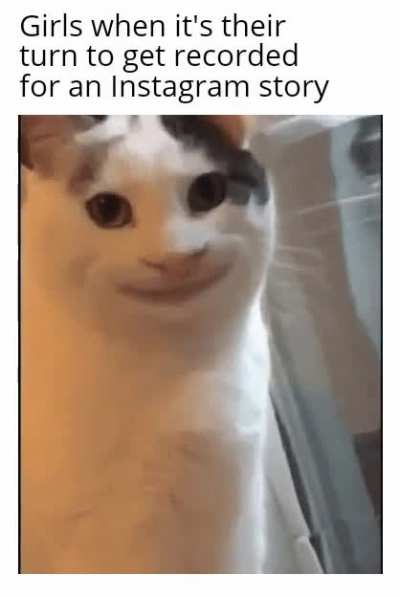 &macr;\_(ツ)_/&macr;