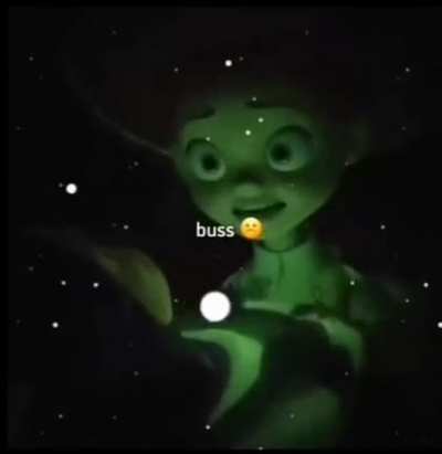 Buss:(