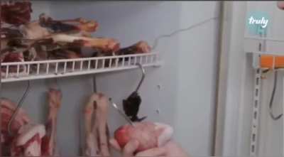 Raw Meat Video