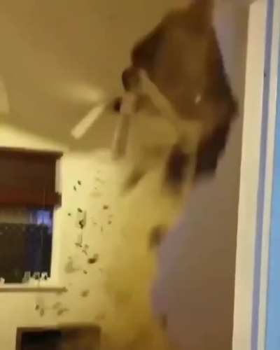 OaaaAaaa OaaaaaAaaaagh