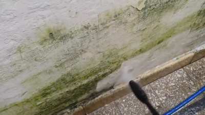 Powerwashingporn
