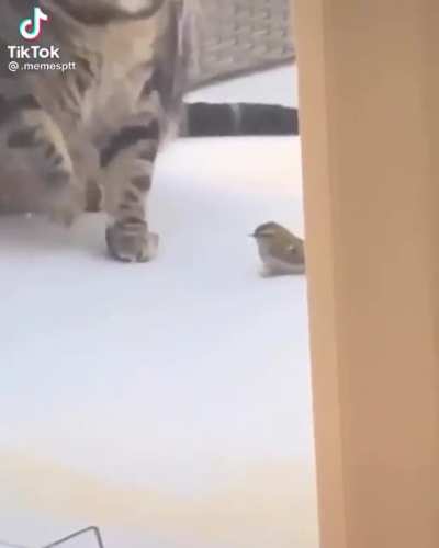 Lol