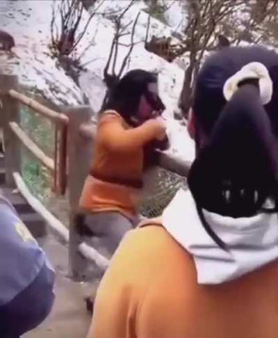 Man gets in fist fight with monkey
