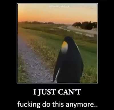 i can't bro, just let me rest in peace plz