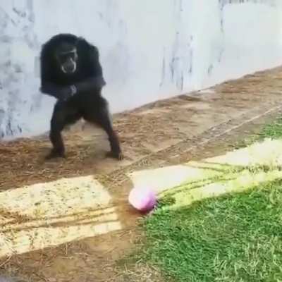 Golasooooooo illo mono messi