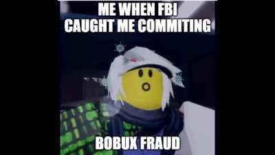 BOBUX FRAUD