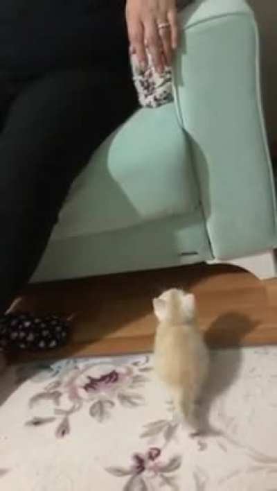 This is Simit&rsquo;s first jump in his life