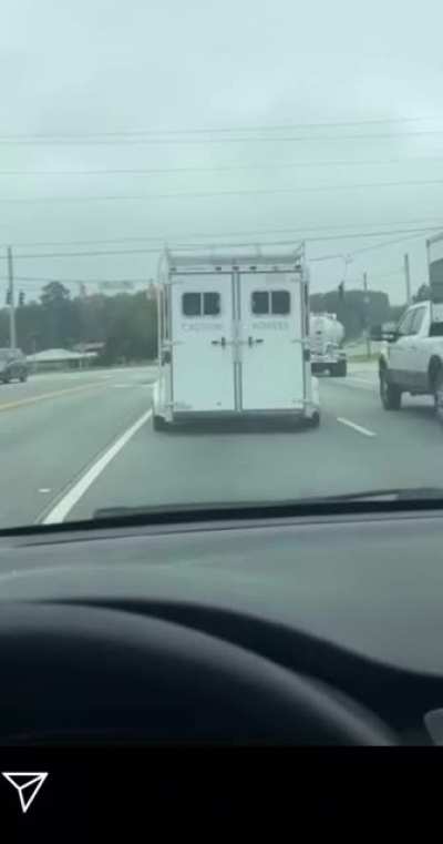 I got the horses in the back