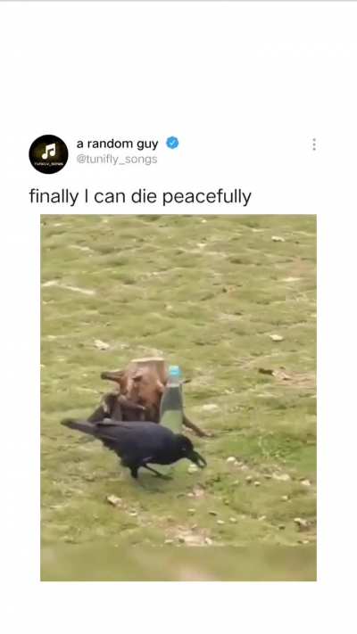 Ek Kauwa tha