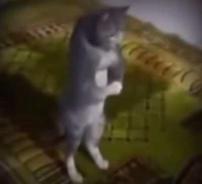 haram