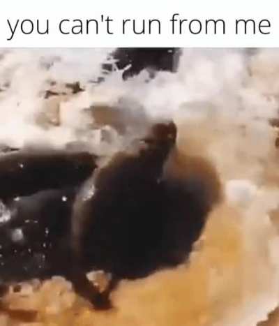 Wkksisjwbwjsj