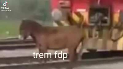 Puts