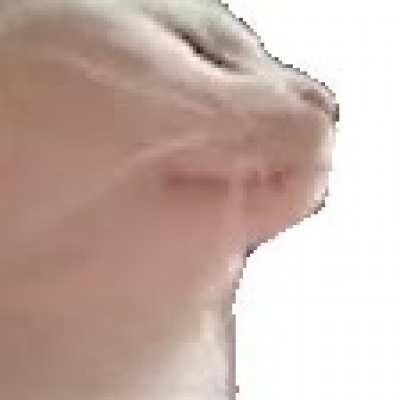 catJAM