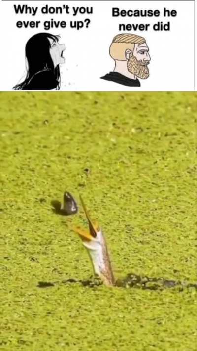 I noticed people like these so i made one. 