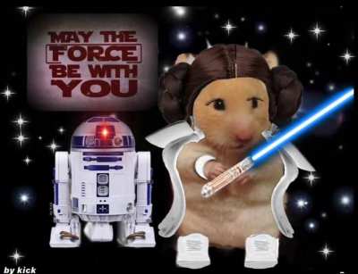 R2 D2 and Princess Leia (my hamster Piper)