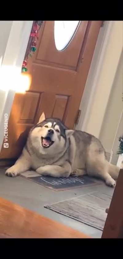 He's got something to say!