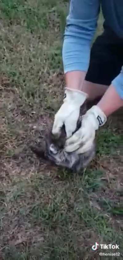 Trash panda got stuck
