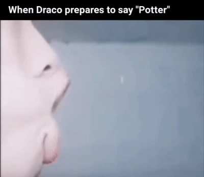 "rettoP" yas ot seraprep ocarD nehW