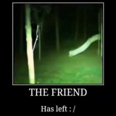 friend :)