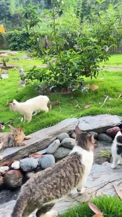 Is this what heaven looks like?