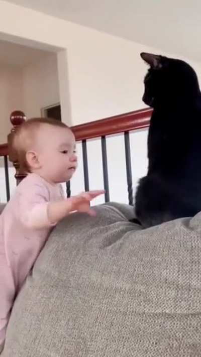 Cat had enough!!!