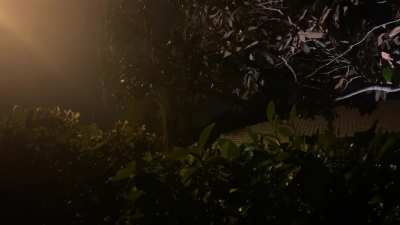 Sudden downpour in Florida