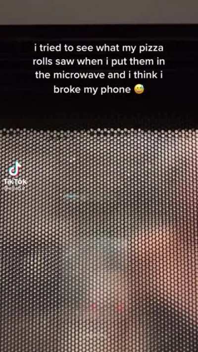 How dumb do you have to be?