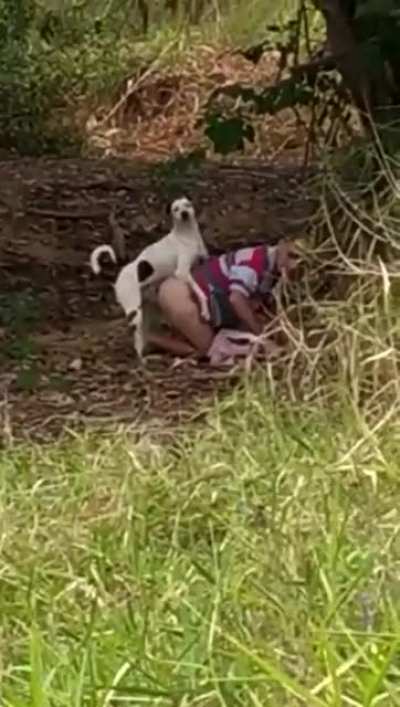 Dog - "Can I fucking help you bro?"
