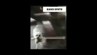 Her g&uuml;n K&ouml;pekleri tarafından Şiddet g&ouml;ren sahiplerin yanında olalım SAHİP HAKLARI