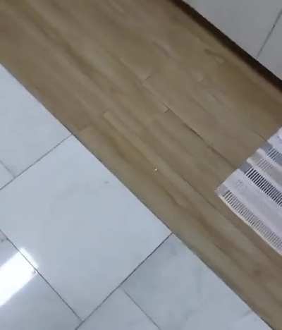 apenas