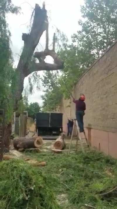 That&rsquo;s a lot of damage