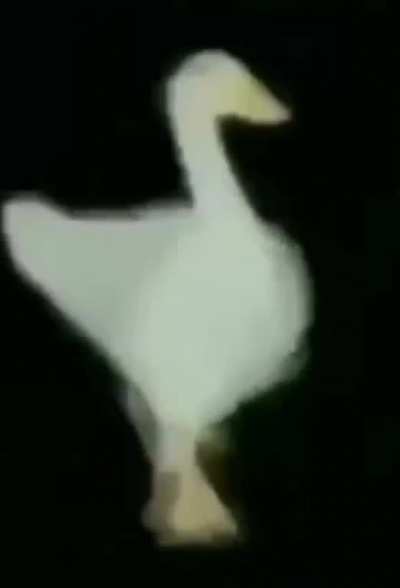 NÃO ABRA