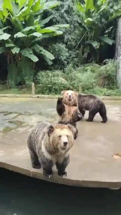 [maybe loud] 