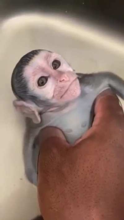 Monke