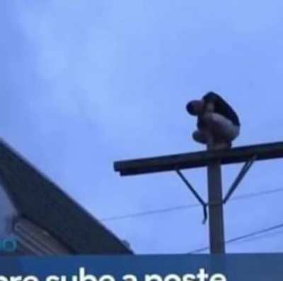 ??????????¿?????