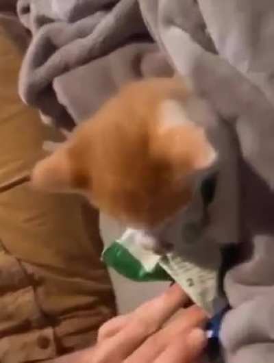 Treats&hellip;TREATS😡