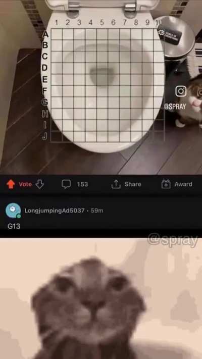 Coitado do gato
