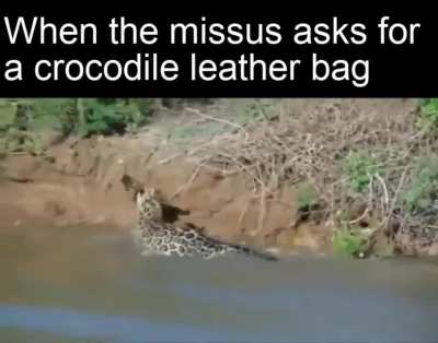 Nature is wild