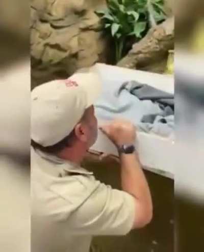 Shhhhhh