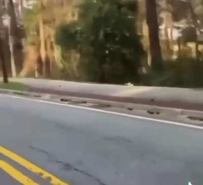 Le idiot on bike