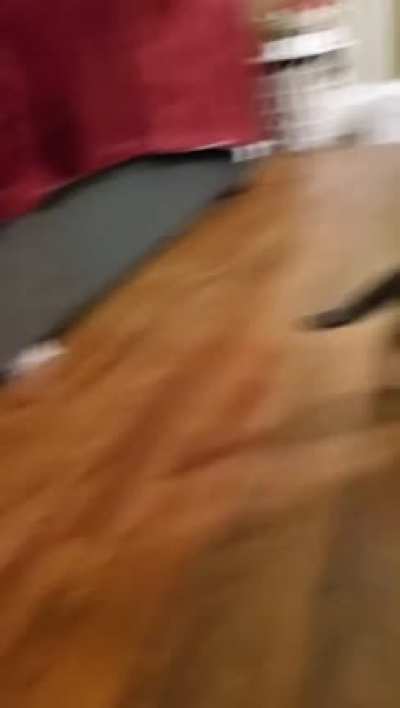 The purrfect hit