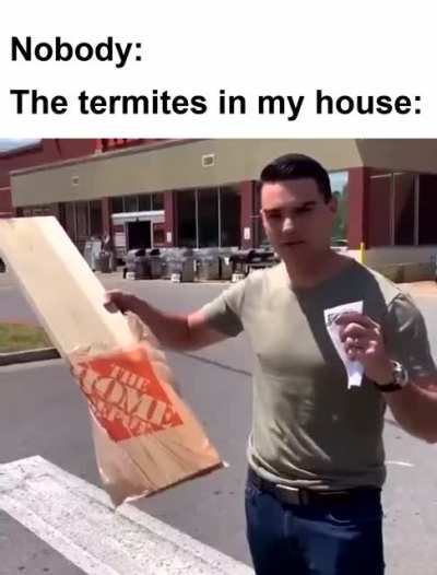 Bugs don´t care about your ceilings