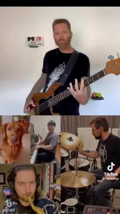🎶Musical Dog🎶