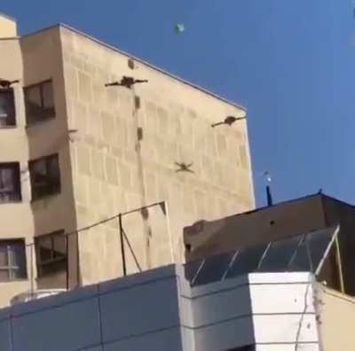 I SAW MY FELLOW HUMANS PLAYING THIS PONG GAME. IS THIS HOW WE DO IT???