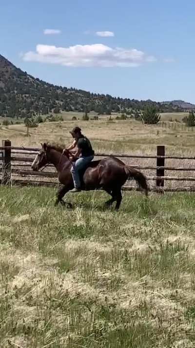 Poor guy hadn’t been ridden in almost a year.