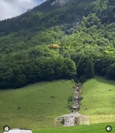 My cow people need me