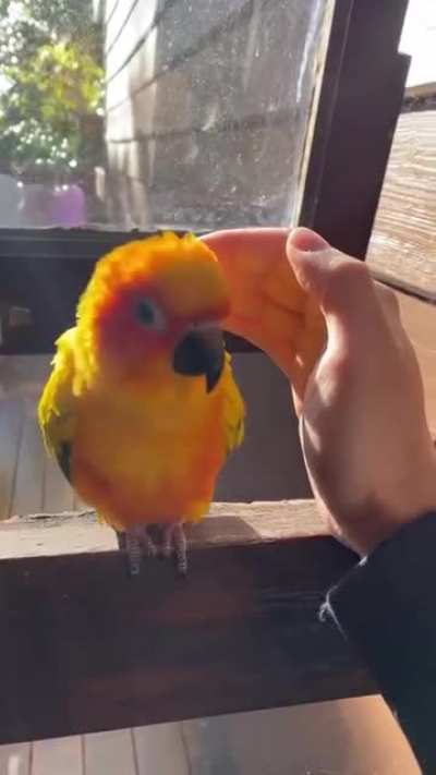 Looking for snuggles